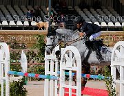 TOSCANO LOVE 2 GioCav2013 S5 1854 : Campionati Italiani Giovani Cavalli, Cattolica, LOVE 2, TOSCANO LORENZO, ph Stefano Secchi ©